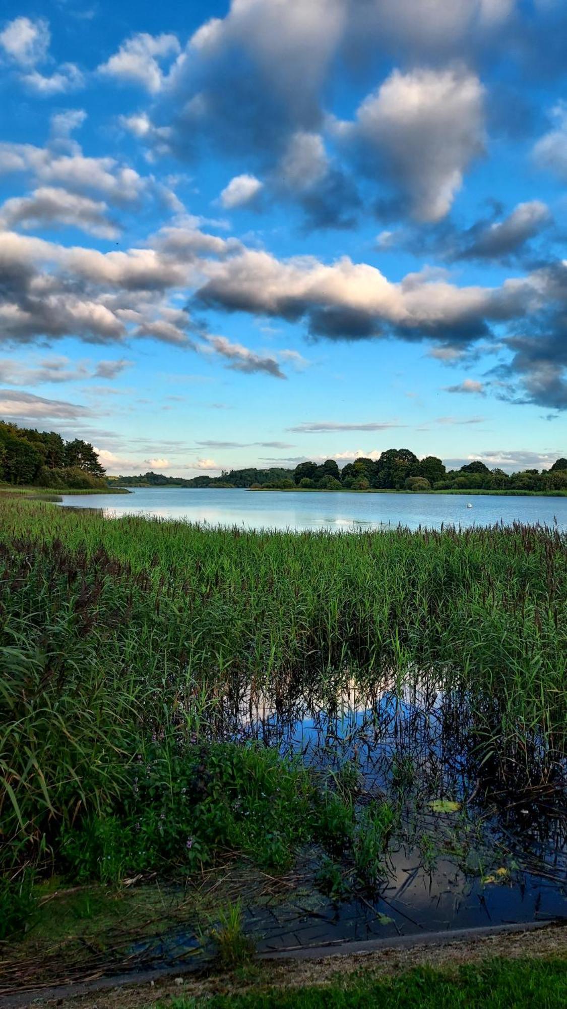 The Hillcrest, Luxury Accommodation In Castleblayney Town Екстер'єр фото